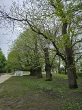 fotografie-13