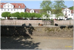fotografie-4