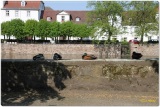 fotografie-5