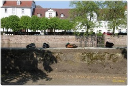 fotografie-5