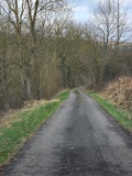 fotografie-5