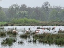 fotografie-4