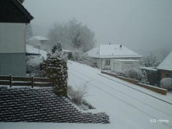 fotografie-5