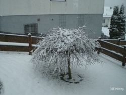 fotografie-8