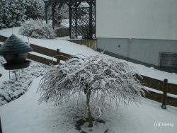 fotografie-14