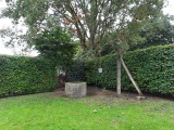 fotografie-3