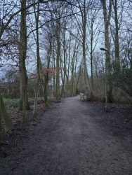 fotografie-1