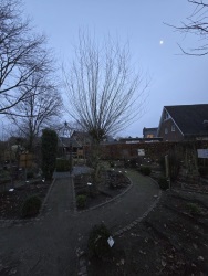 fotografie-10