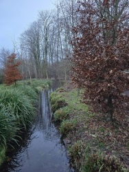 fotografie-15