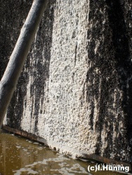 fotografie-1