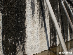 fotografie-2
