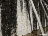 fotografie-2
