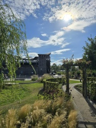 fotografie-6
