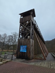 fotografie-1