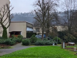 fotografie-9