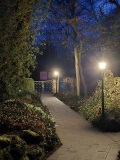 fotografie-11