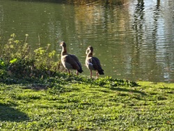fotografie-12