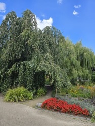 fotografie-6