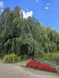 fotografie-6