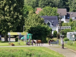 fotografie-4