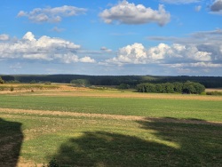 fotografie-9