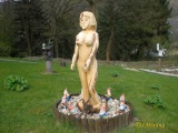 fotografie-1