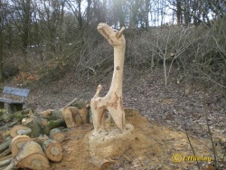 fotografie-3