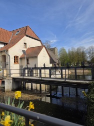 fotografie-3