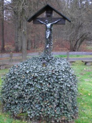 fotografie-4