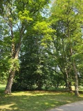 fotografie-1