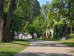 fotografie-5