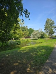 fotografie-11