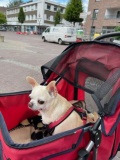 fotografie-18