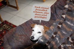 fotografie-7