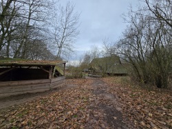 fotografie-13