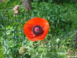 fotografie-1