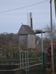fotografie-1