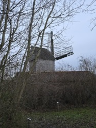fotografie-3