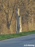 fotografie-2
