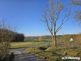 fotografie-17