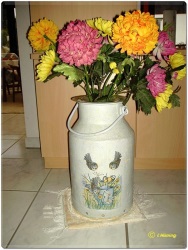 fotografie-21