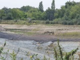 fotografie-4