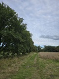 fotografie-12