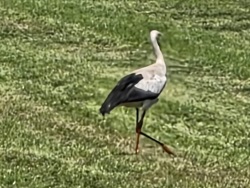 fotografie-3