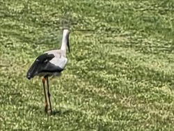 fotografie-4