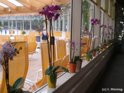 fotografie-3