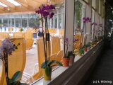 fotografie-3
