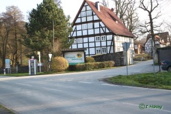 fotografie-1