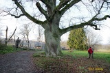 fotografie-4