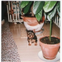 fotografie-5